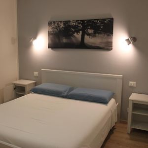 B&B Color Rovereto
